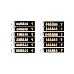 "Set of Ruthinium Acryrock teeth in A3 shade, designed for dental prosthetics with a natural appearance and durable construction."