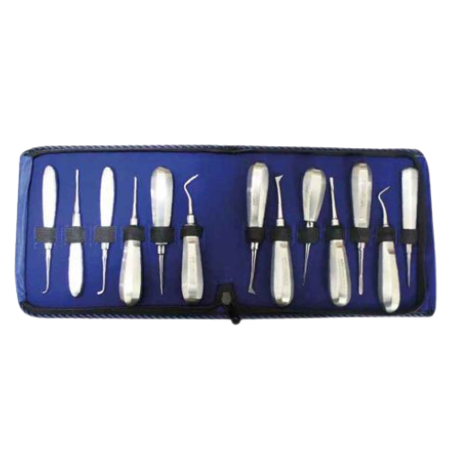 AVAILABLE AT CHOUDHARY DENTAL DEPOT: Enhance Your Dental Practice with API Root Elevators Set of 13 3 Untitled design 12 1